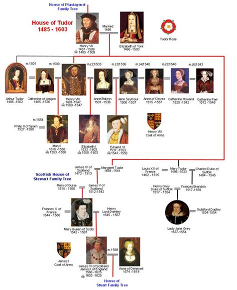 tudor line of kings